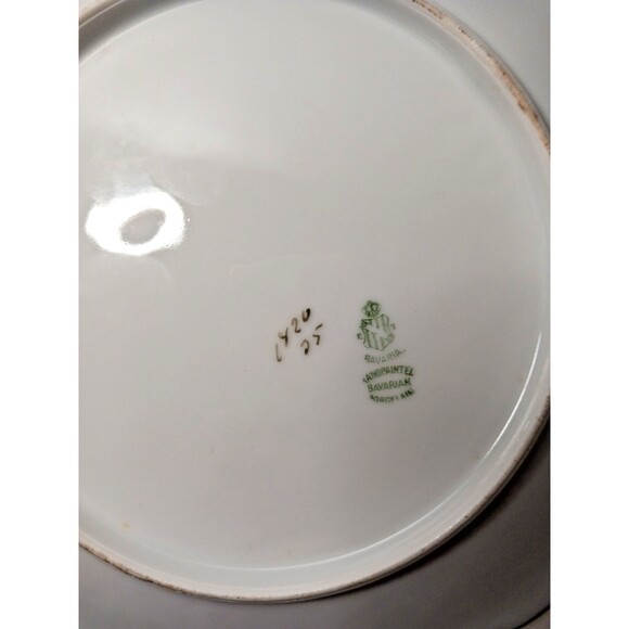 P T Tirschenreuth Bavaria Germany 9" Hand Painted Plate Rose Gold Serpentine - Picture 2 of 13